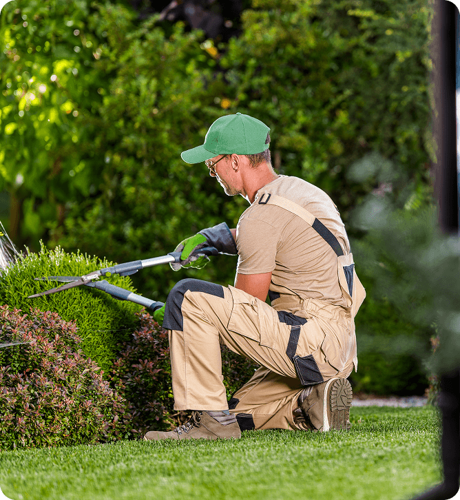 Professional working